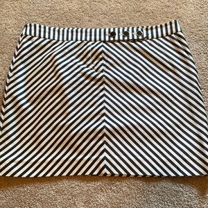 JCrew Skirt